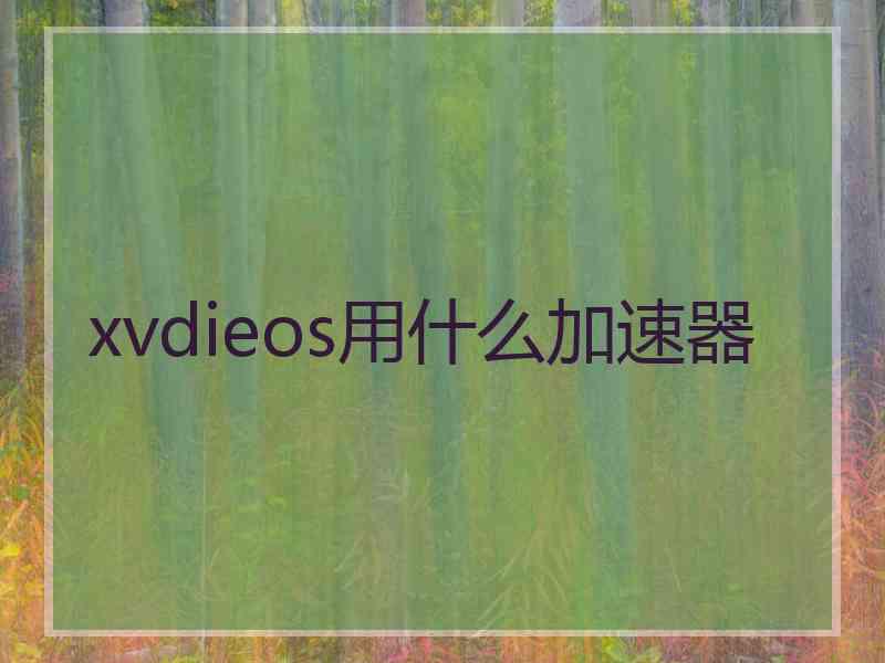 xvdieos用什么加速器