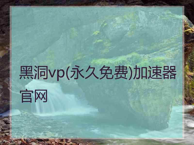 黑洞vp(永久免费)加速器官网