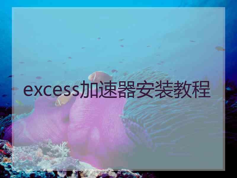 excess加速器安装教程