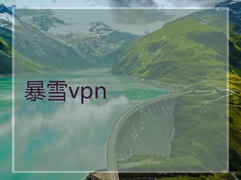 暴雪vpn