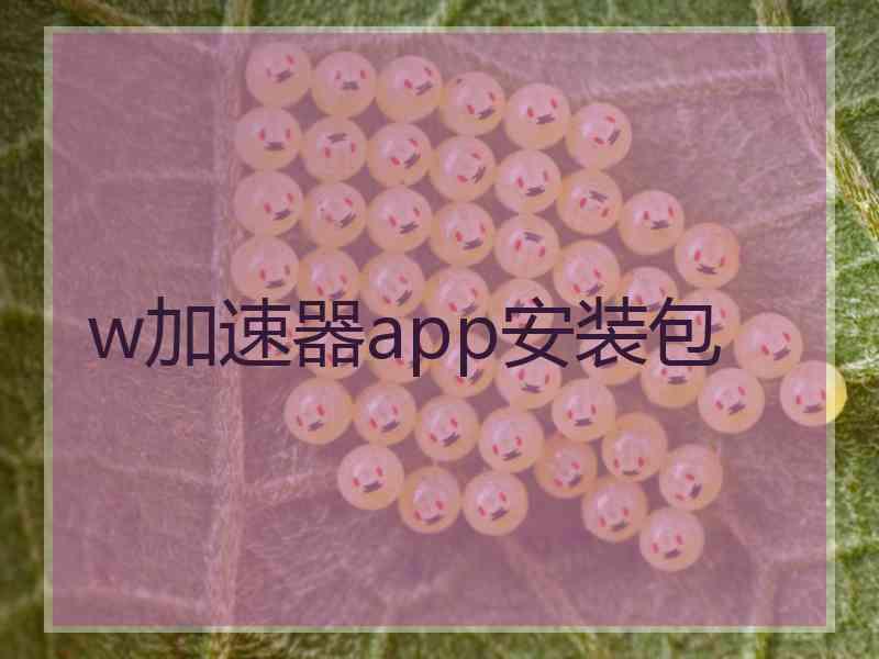 w加速器app安装包