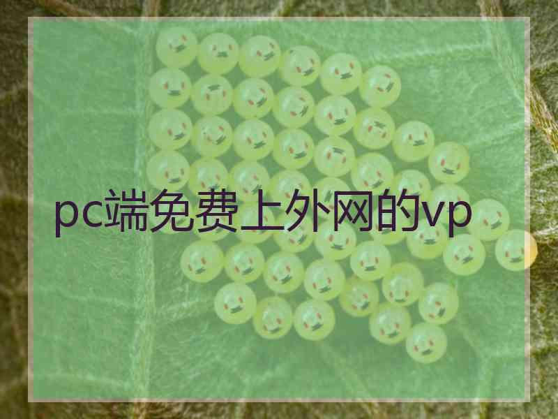 pc端免费上外网的vp