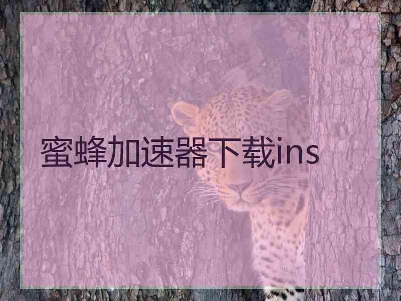 蜜蜂加速器下载ins