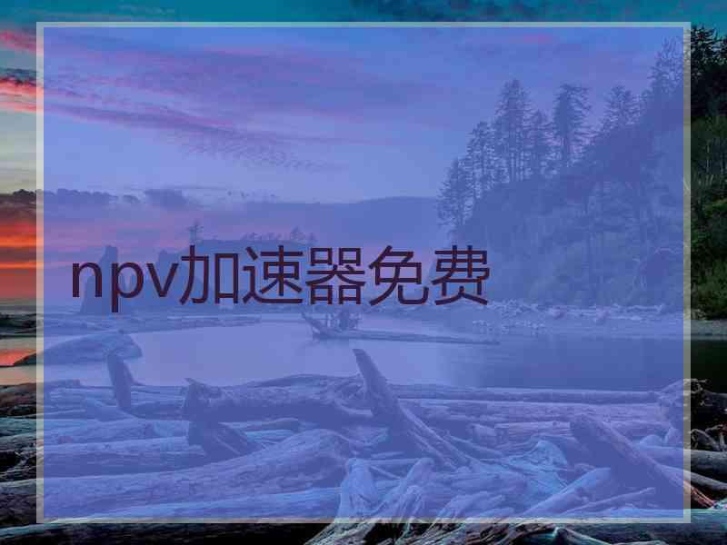 npv加速器免费