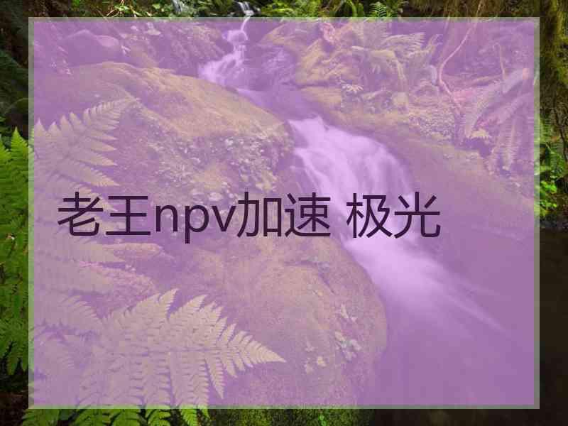 老王npv加速 极光