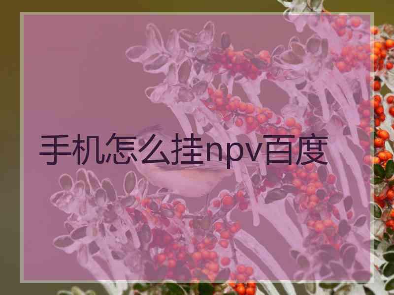 手机怎么挂npv百度