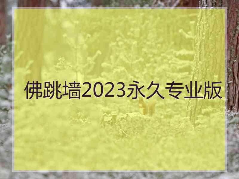 佛跳墙2023永久专业版