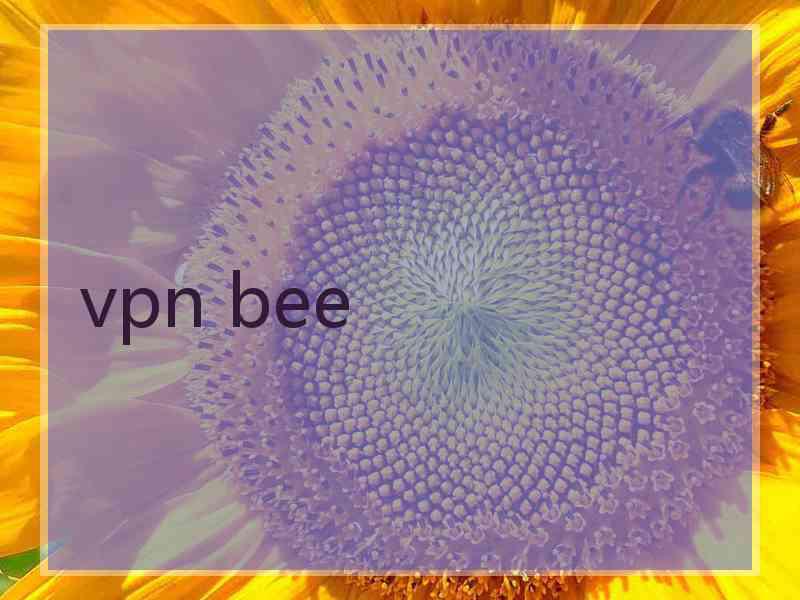 vpn bee