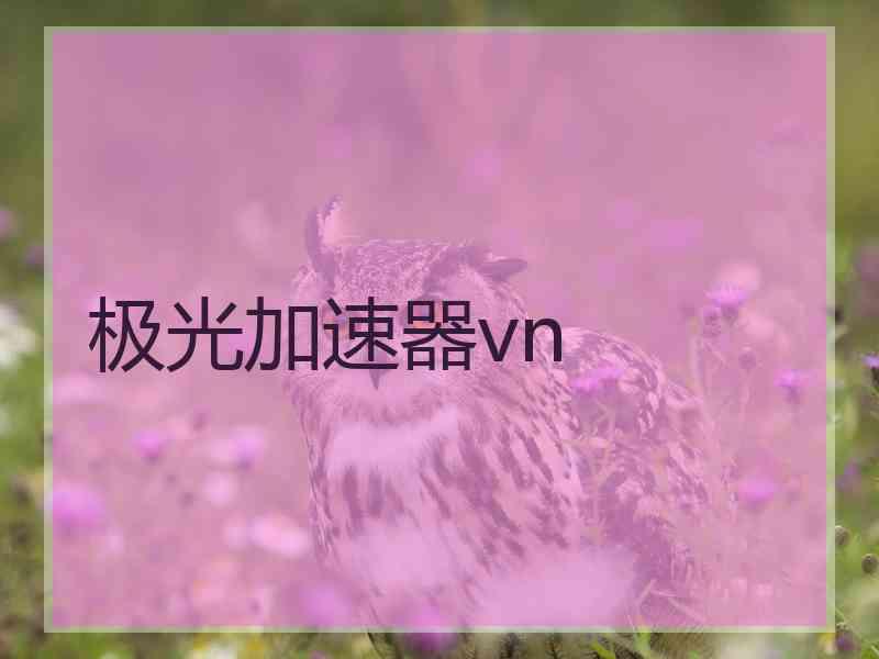 极光加速器vn