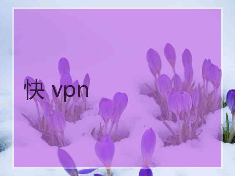 快 vpn