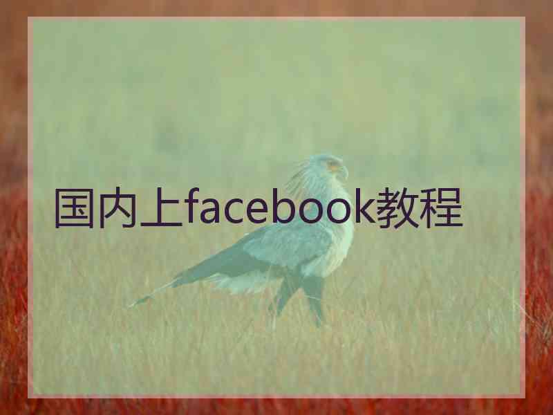 国内上facebook教程