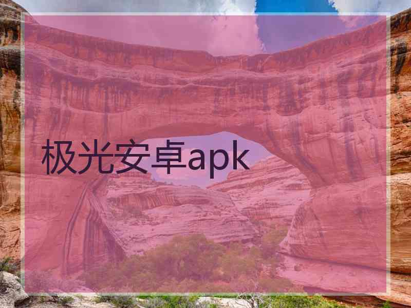 极光安卓apk