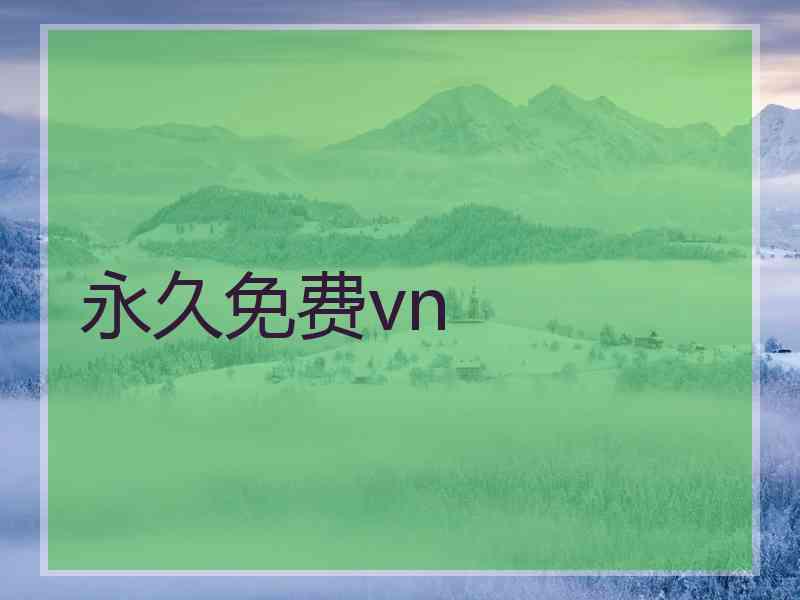 永久免费vn