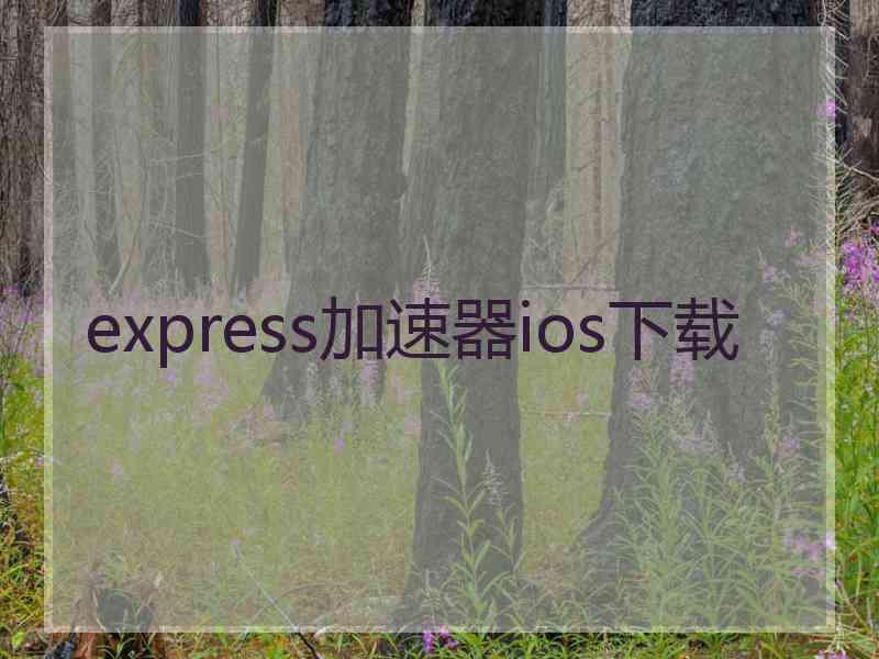 express加速器ios下载