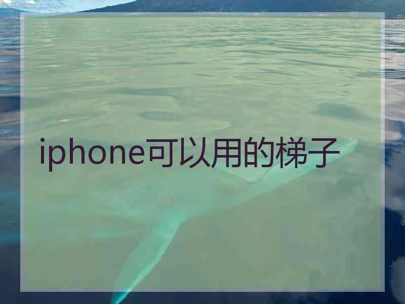 iphone可以用的梯子