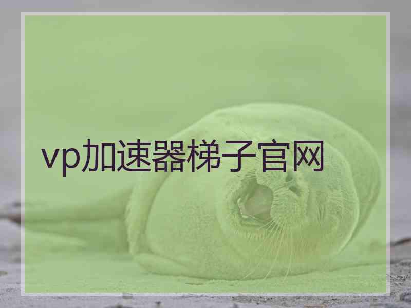 vp加速器梯子官网