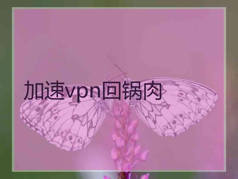 加速vpn回锅肉