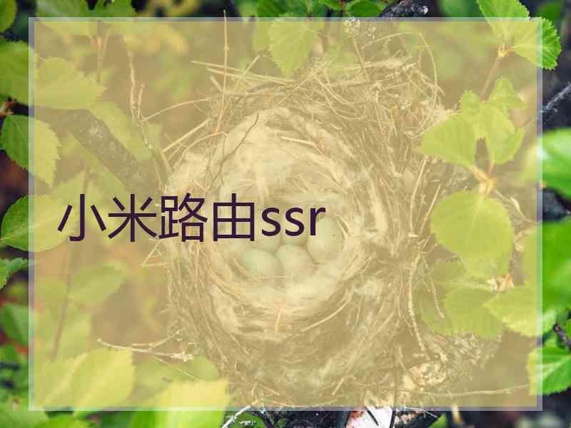 小米路由ssr