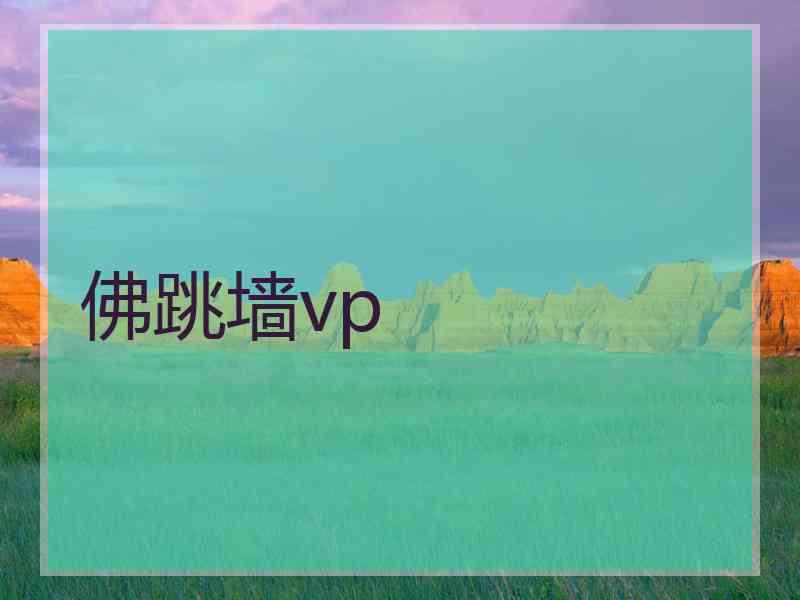 佛跳墙vp