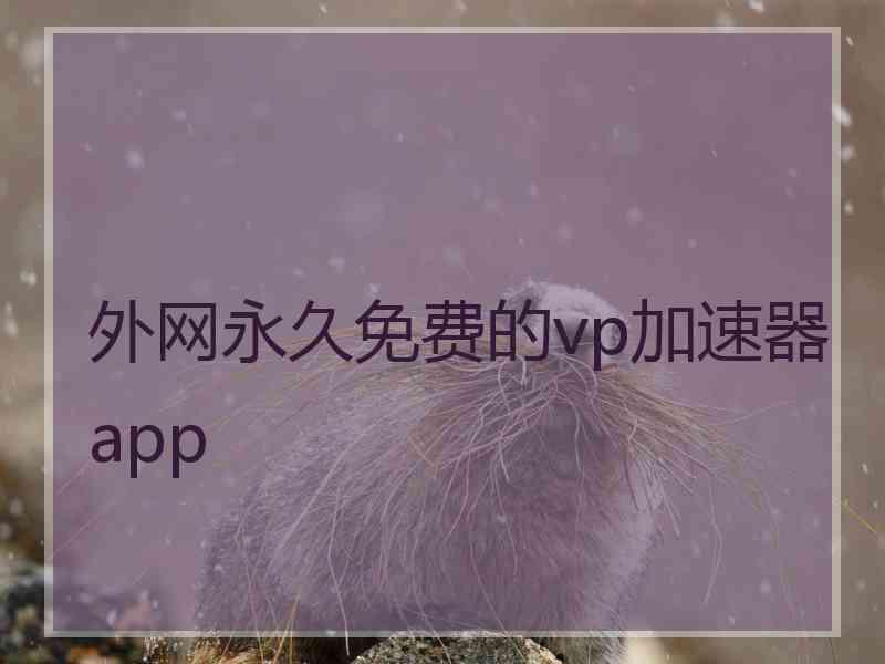 外网永久免费的vp加速器app