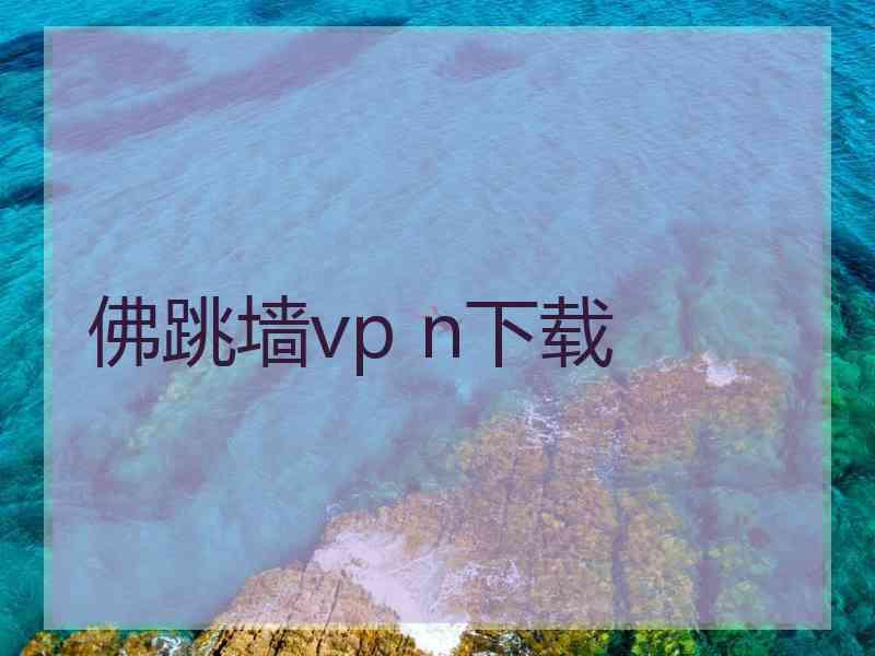 佛跳墙vp n下载