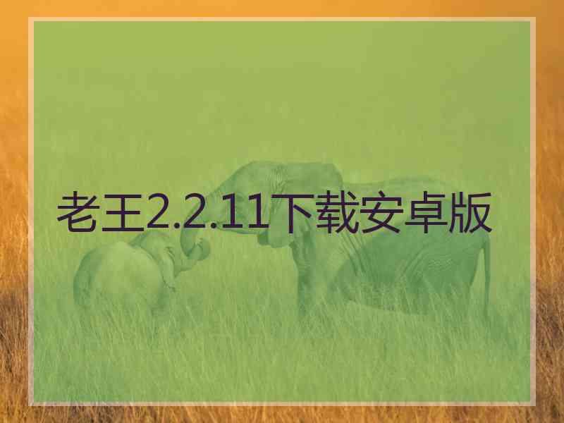 老王2.2.11下载安卓版