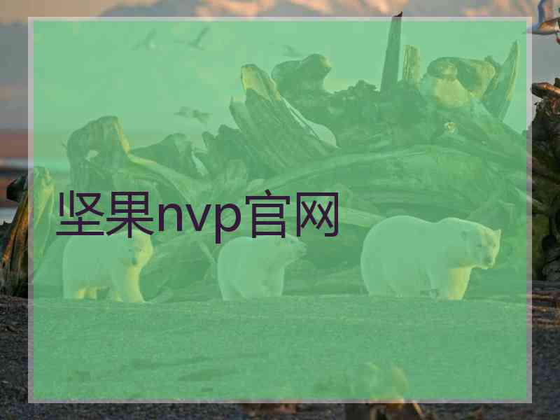 坚果nvp官网