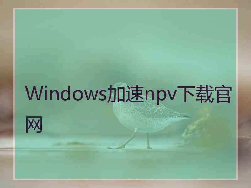 Windows加速npv下载官网