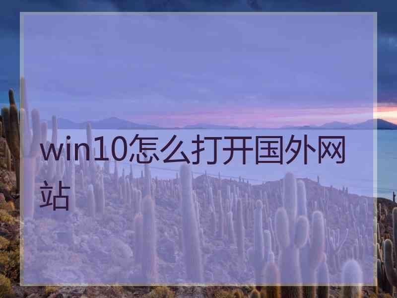 win10怎么打开国外网站