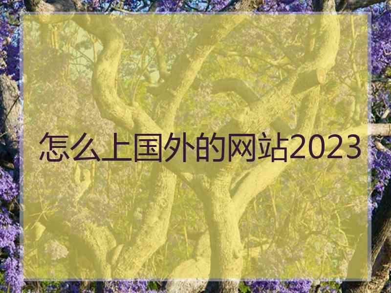 怎么上国外的网站2023