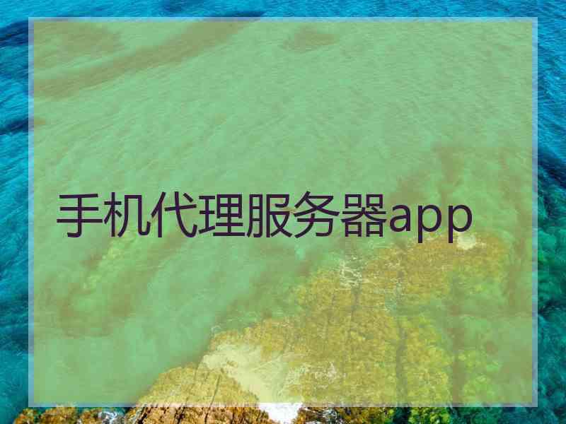 手机代理服务器app