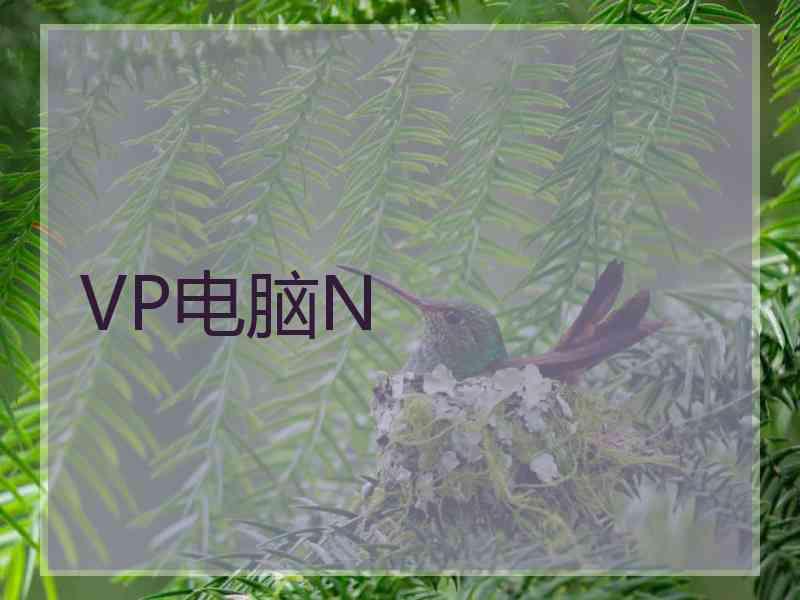 VP电脑N