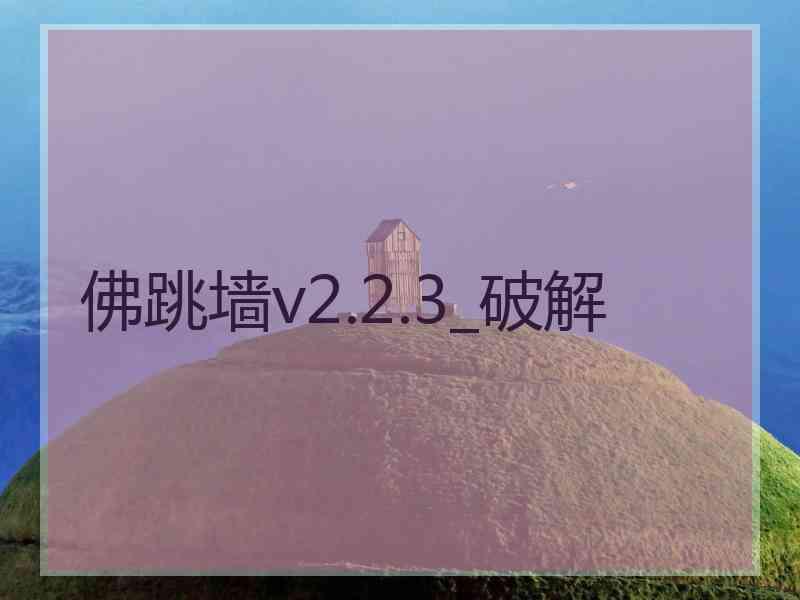 佛跳墙v2.2.3_破解