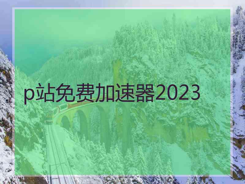 p站免费加速器2023