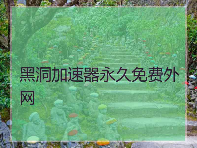 黑洞加速器永久免费外网