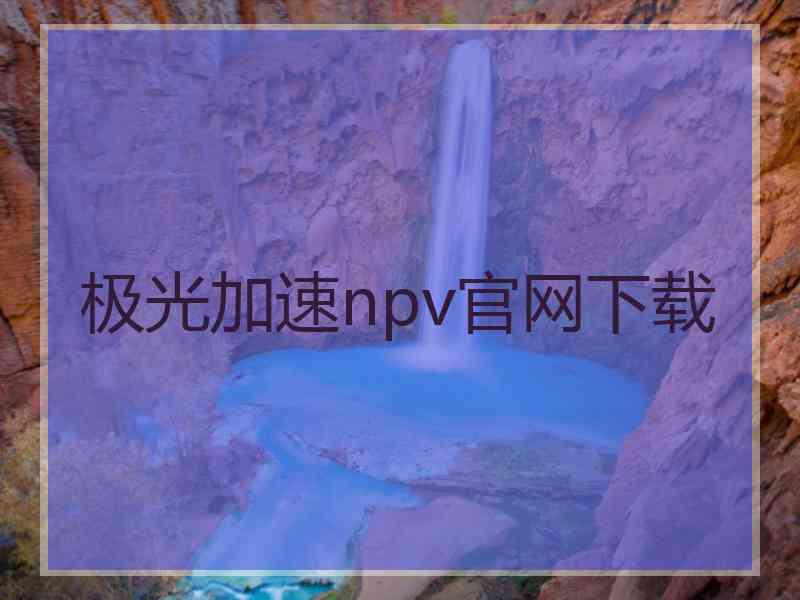 极光加速npv官网下载