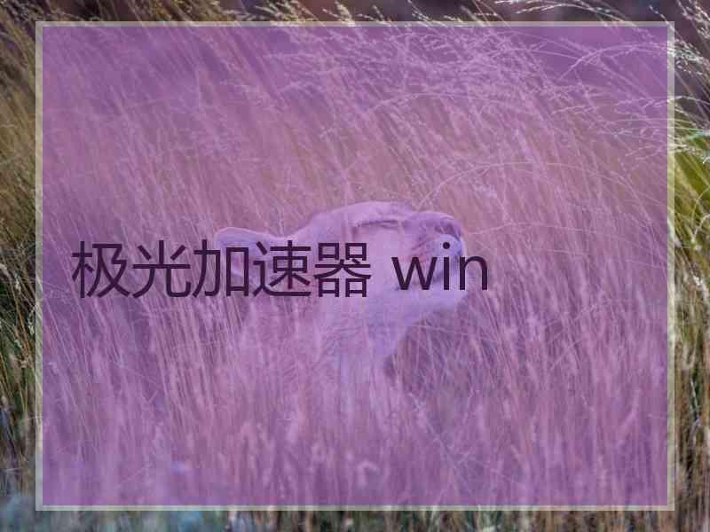 极光加速器 win