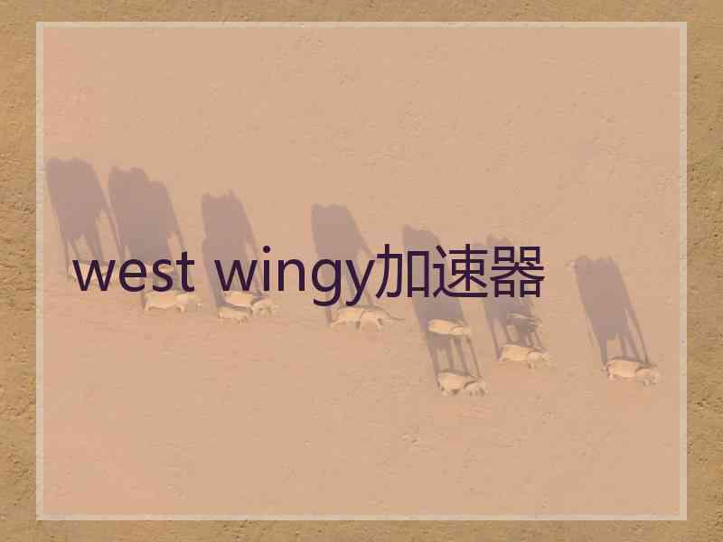 west wingy加速器