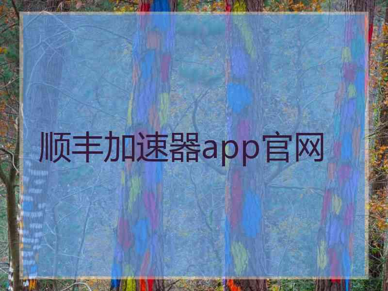 顺丰加速器app官网