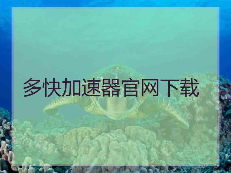 多快加速器官网下载