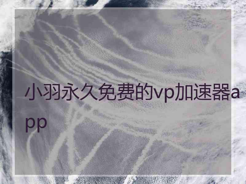 小羽永久免费的vp加速器app