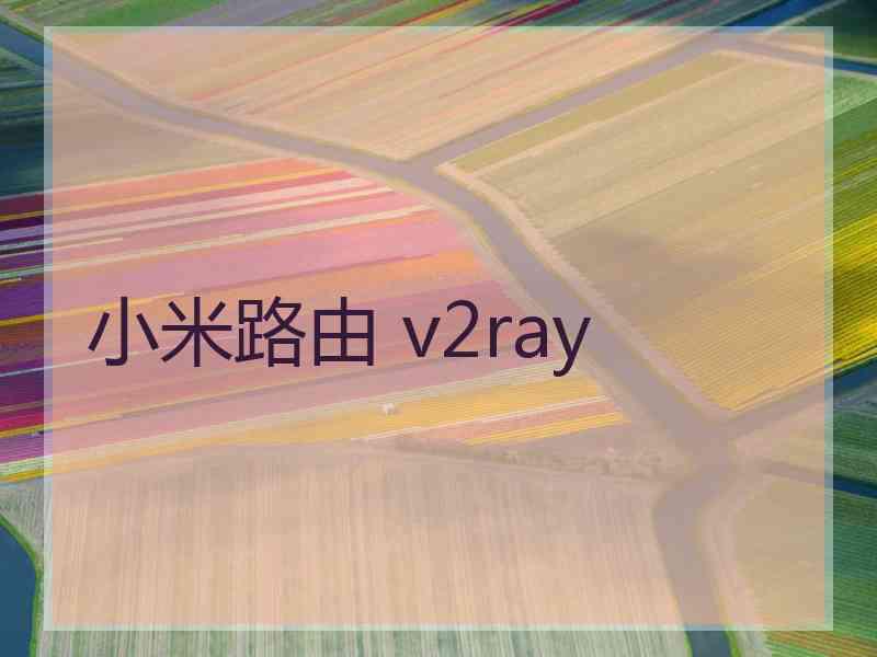 小米路由 v2ray