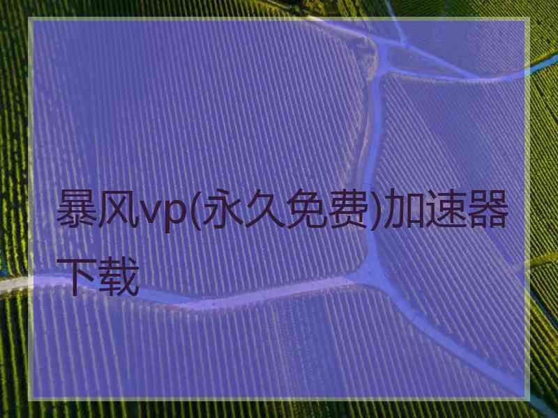 暴风vp(永久免费)加速器下载