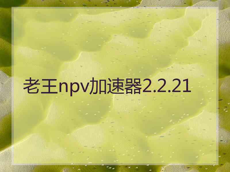 老王npv加速器2.2.21