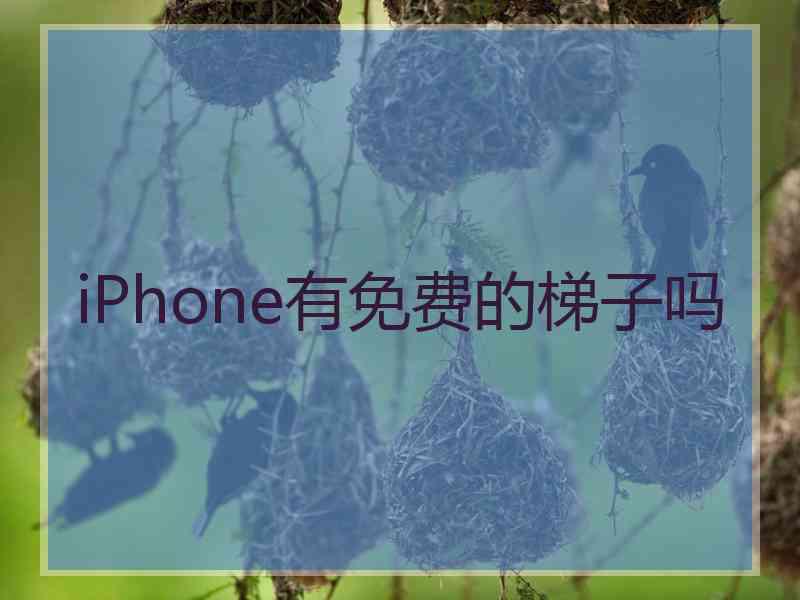 iPhone有免费的梯子吗