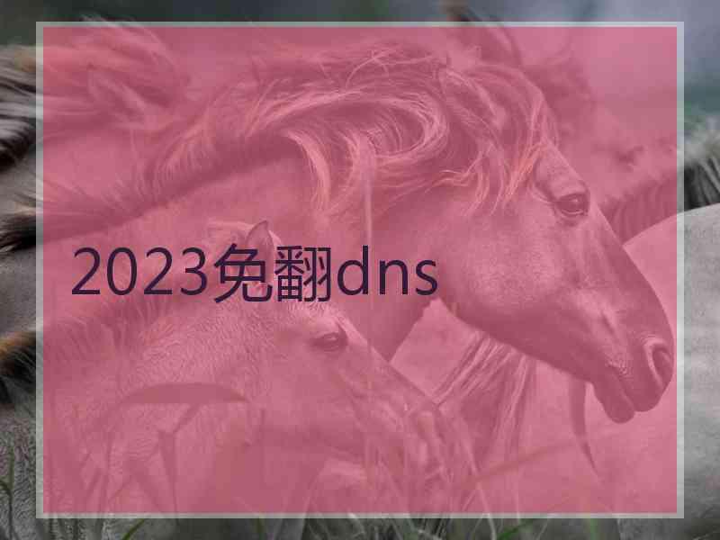 2023免翻dns