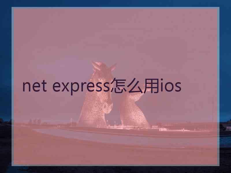 net express怎么用ios