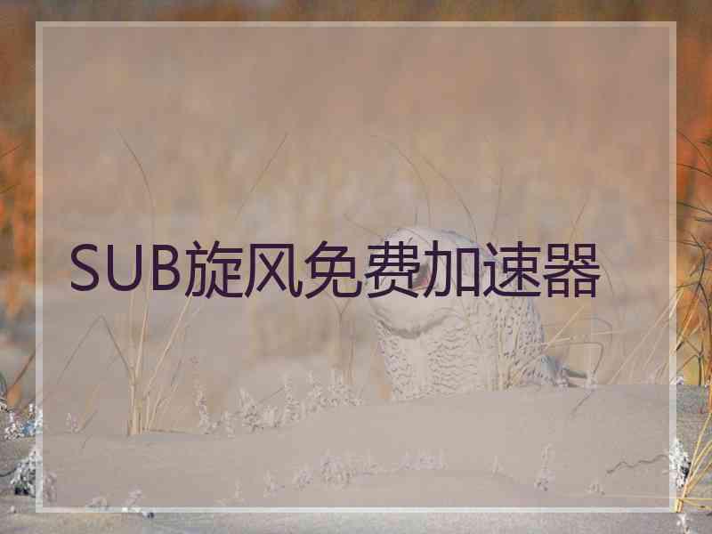 SUB旋风免费加速器