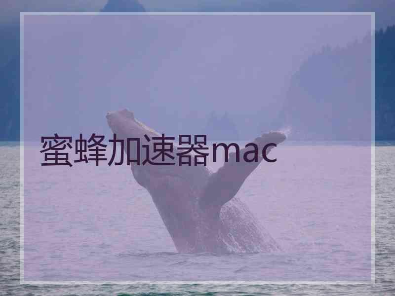 蜜蜂加速器mac