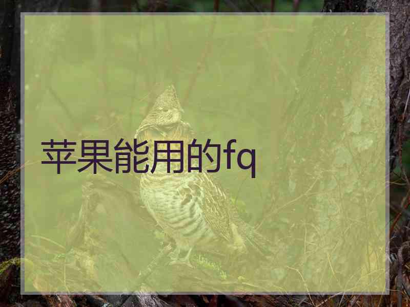 苹果能用的fq